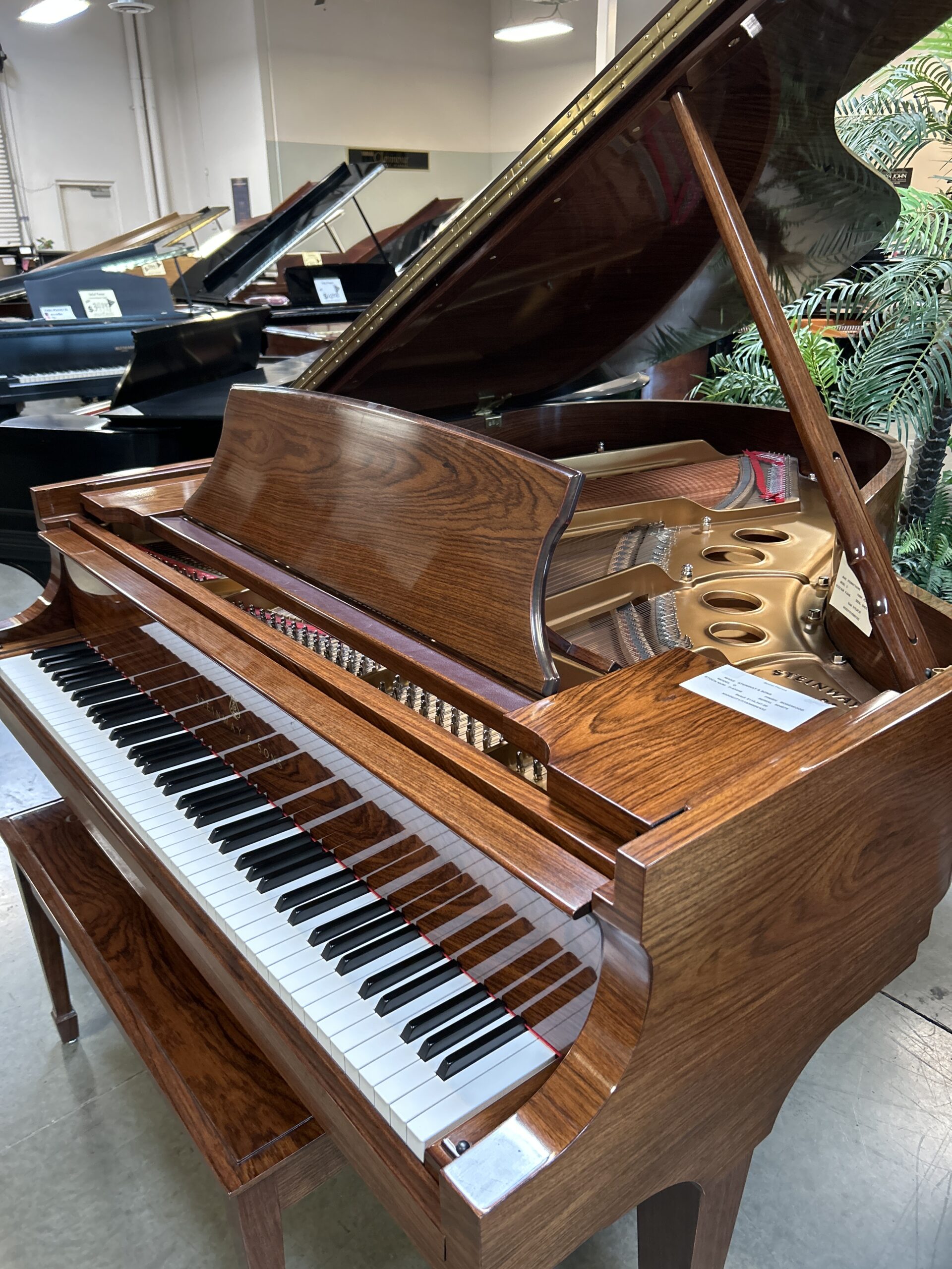 Steinway & Sons Rosewood Model 'O' REDUCED ! - Image 3