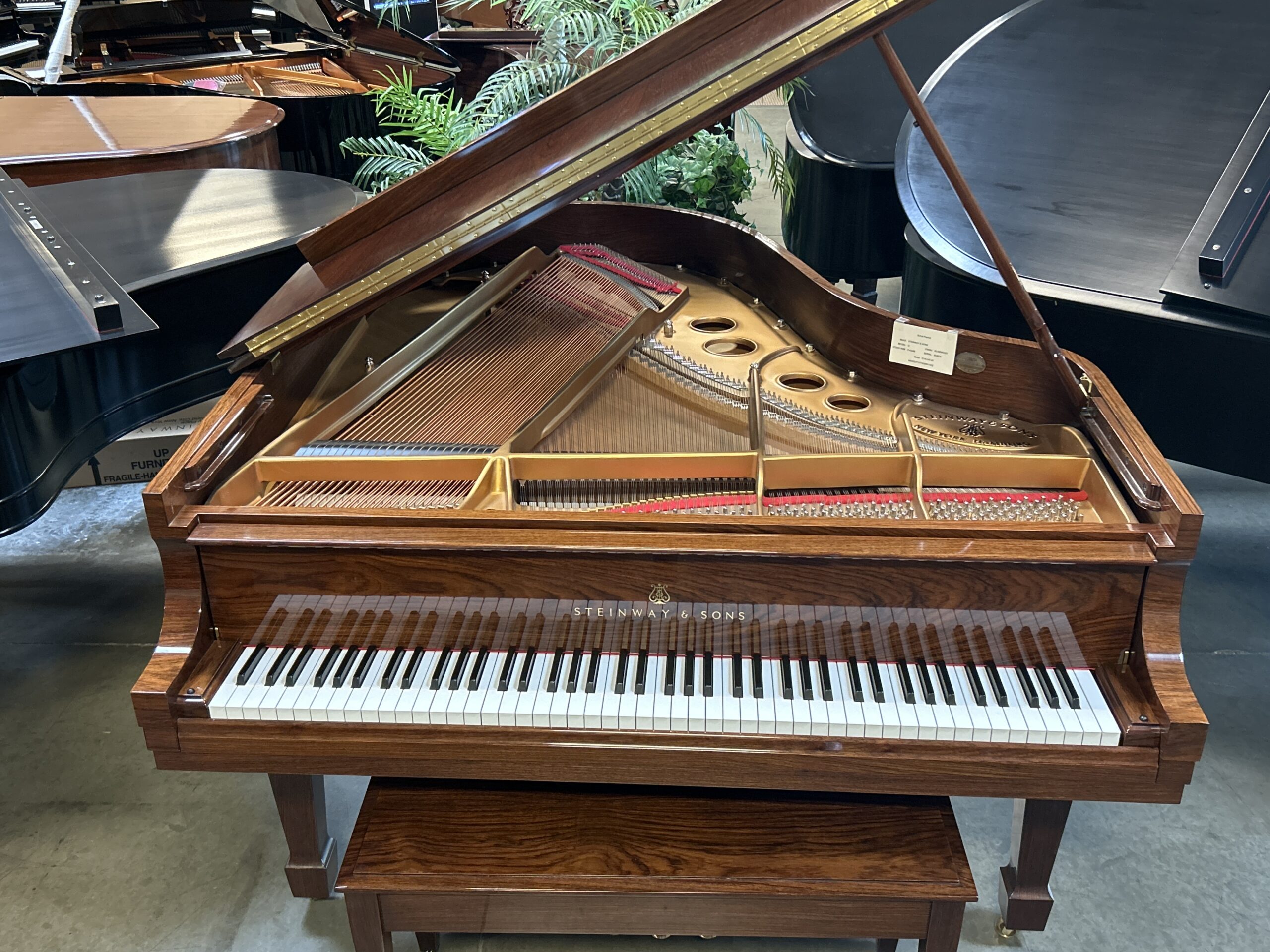 Steinway & Sons Rosewood Model 'O' REDUCED !