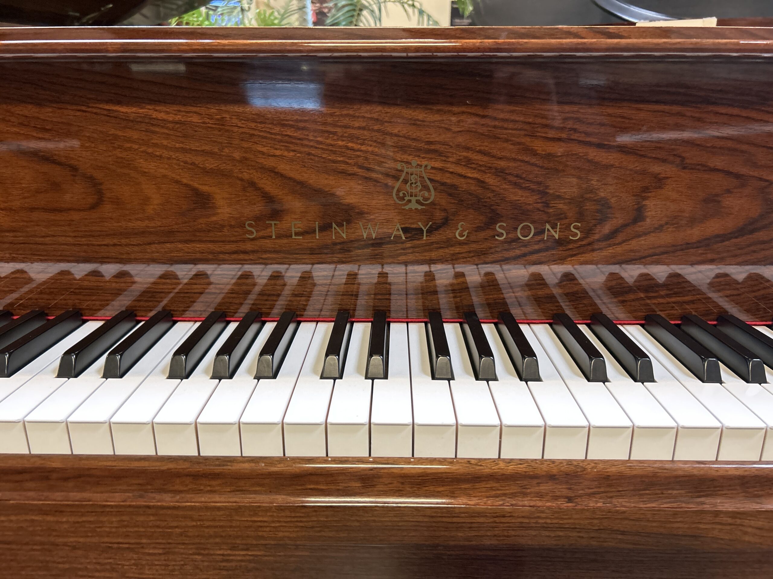 Steinway & Sons Rosewood Model 'O' REDUCED ! - Image 7