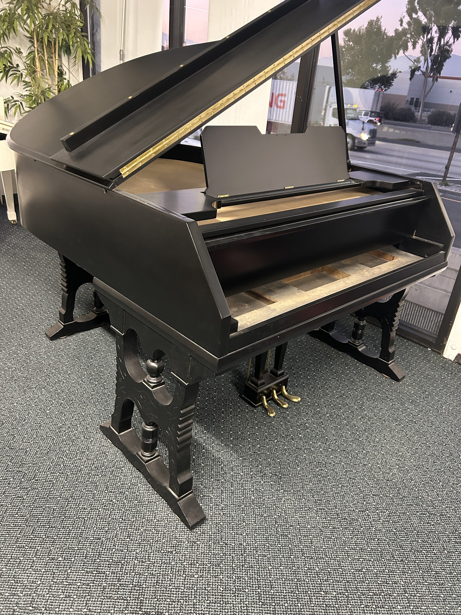 Grand Piano Shell 10