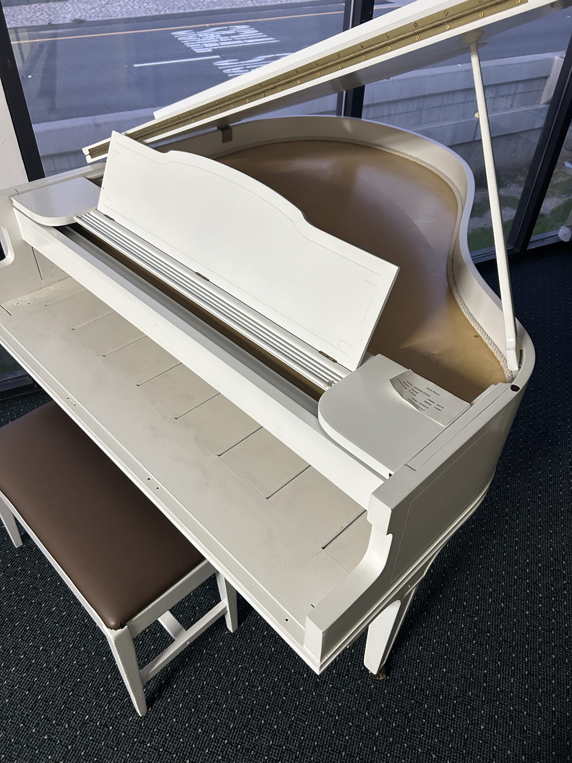 Grand Piano Shell 2
