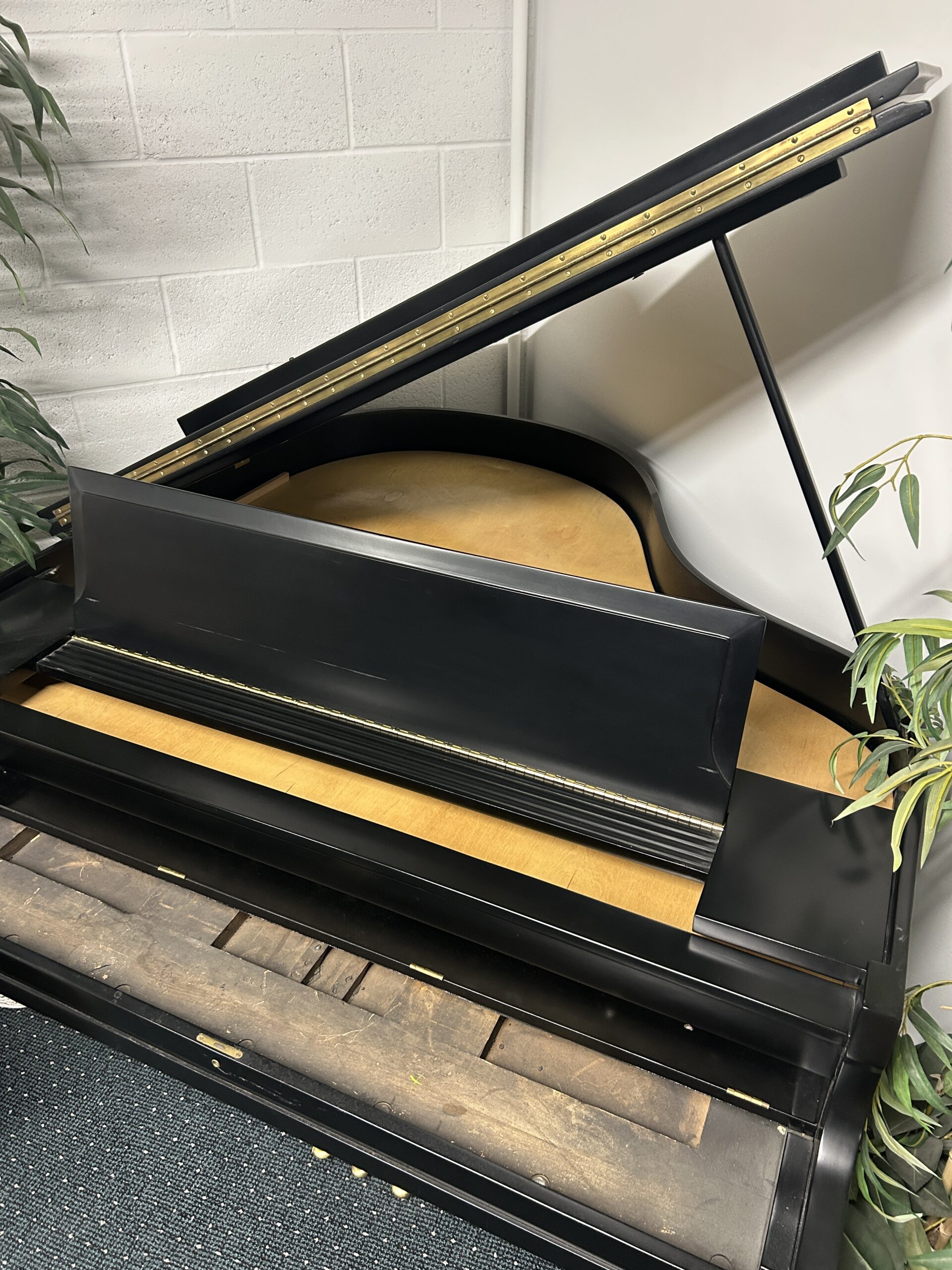Grand Piano Shell 4
