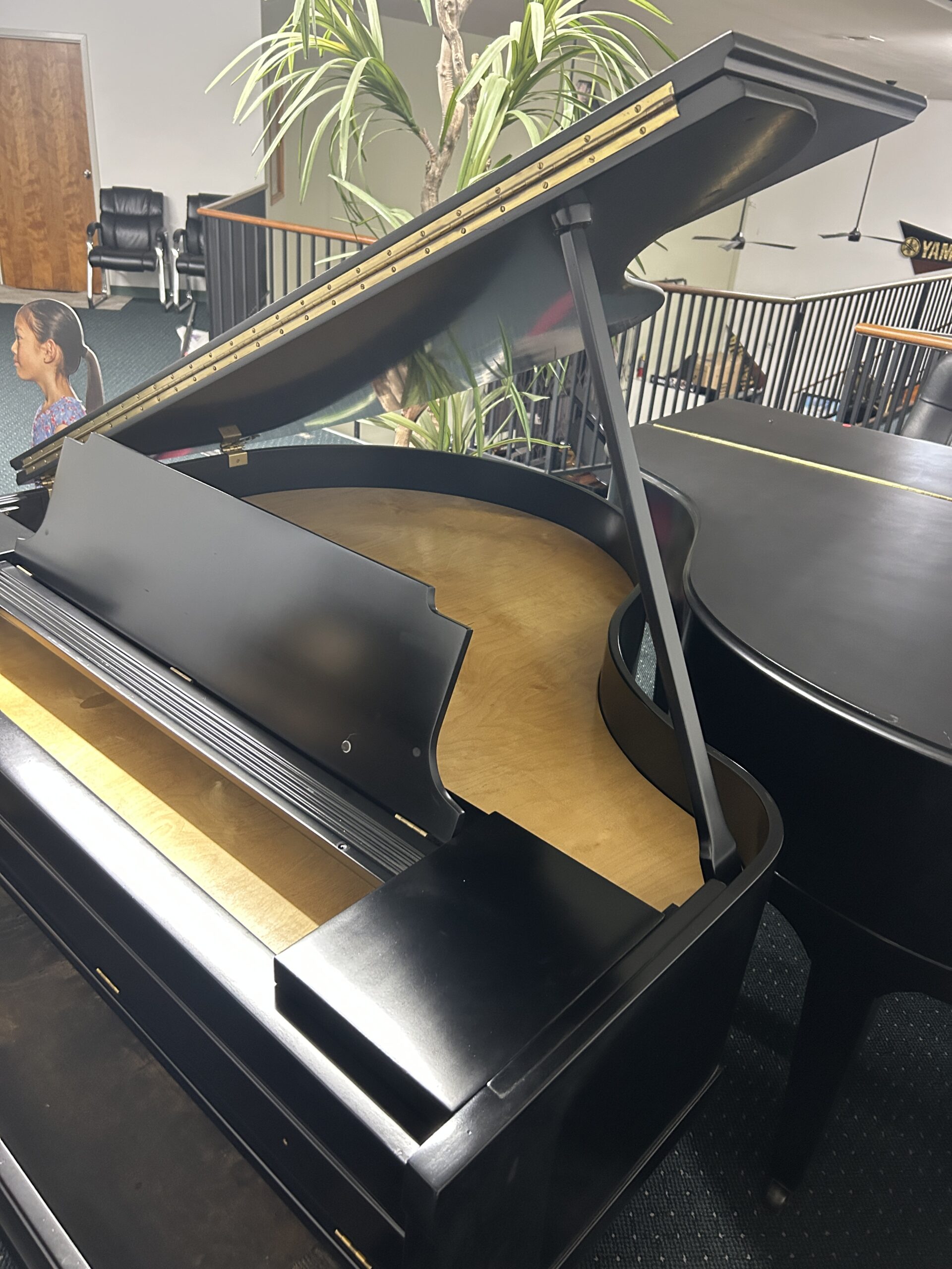 Grand Piano Shell 6